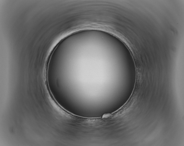 X0000111351531200907171132