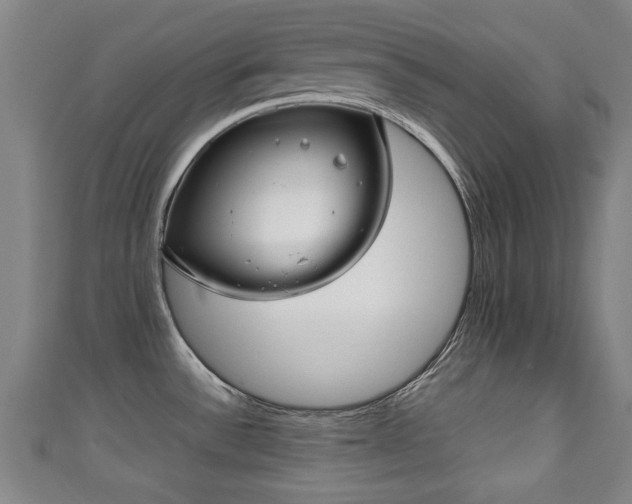 X0000111351532200907171133