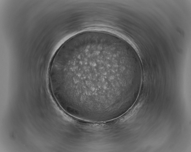 X0000111351533200907171133