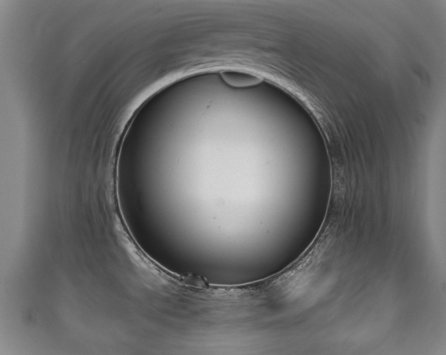 X0000111351534200907171133