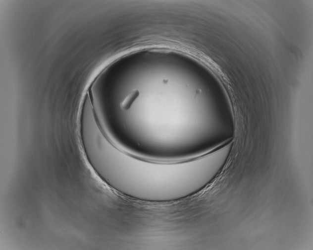 X0000111351536200907171133