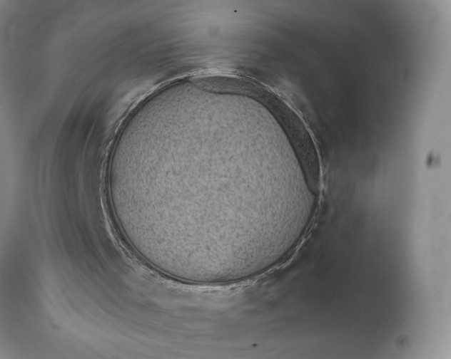 X0000111350001200907241210