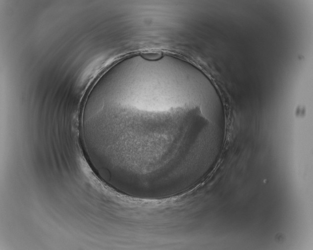 X0000111350002200907241210