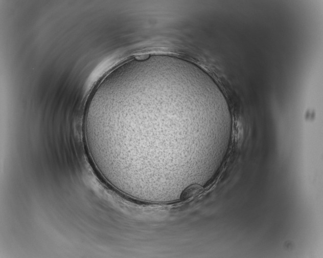 X0000111350004200907241210