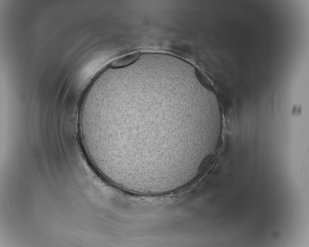 X0000111350005200907241210