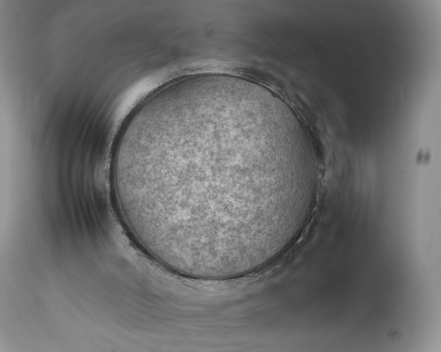 X0000111350006200907241210