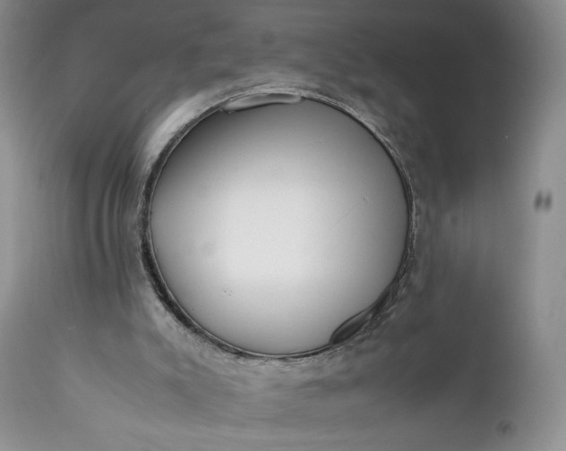 X0000111350007200907241209