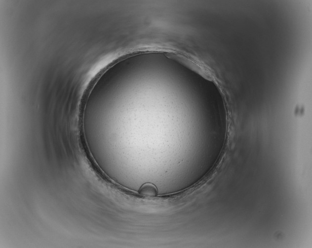 X0000111350008200907241209