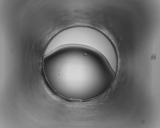 X0000111350009200907241209