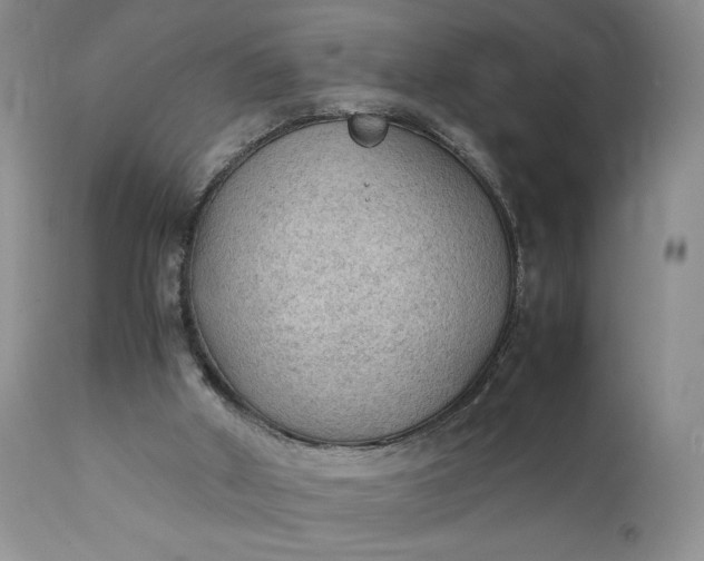 X0000111350010200907241209