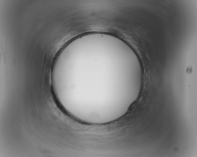 X0000111350011200907241209