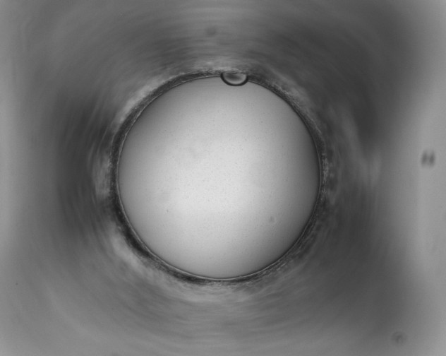 X0000111350012200907241209