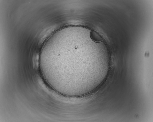 X0000111350014200907241209