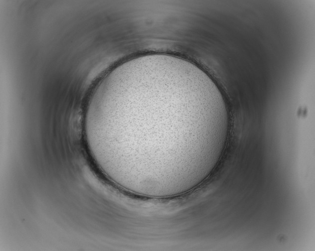 X0000111350016200907241209