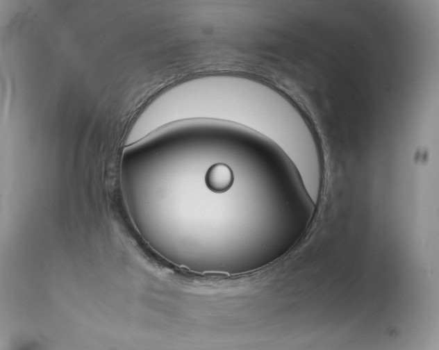 X0000111350017200907241209