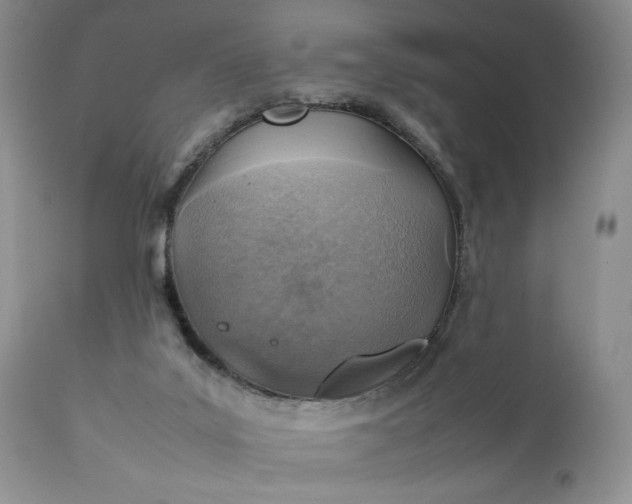 X0000111350019200907241209