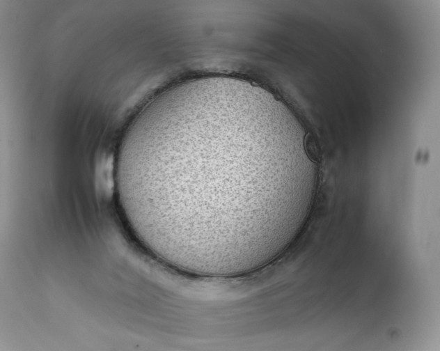 X0000111350020200907241209