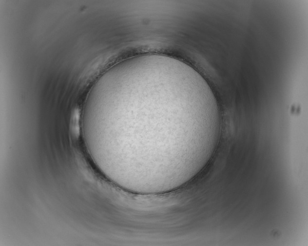 X0000111350022200907241209