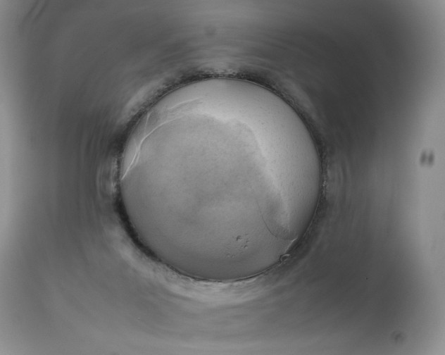 X0000111350023200907241209