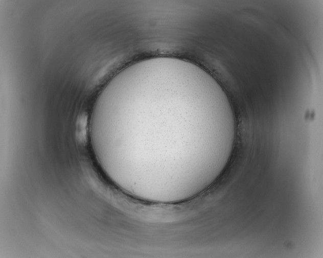 X0000111350024200907241209