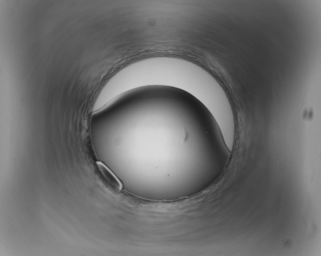 X0000111350025200907241209