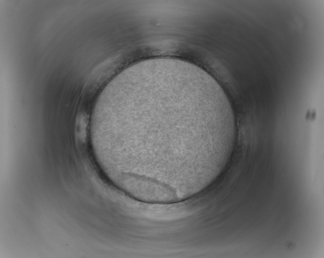 X0000111350026200907241209