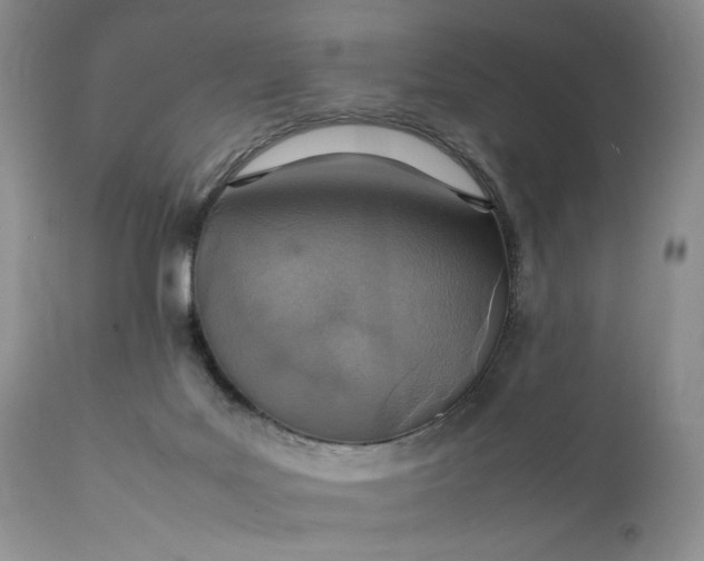 X0000111350027200907241209