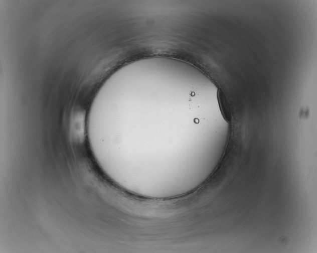 X0000111350028200907241209