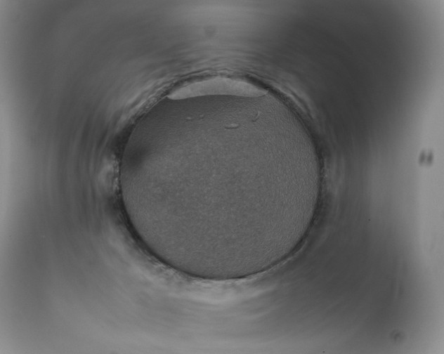 X0000111350029200907241209