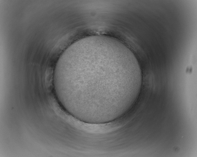 X0000111350030200907241209