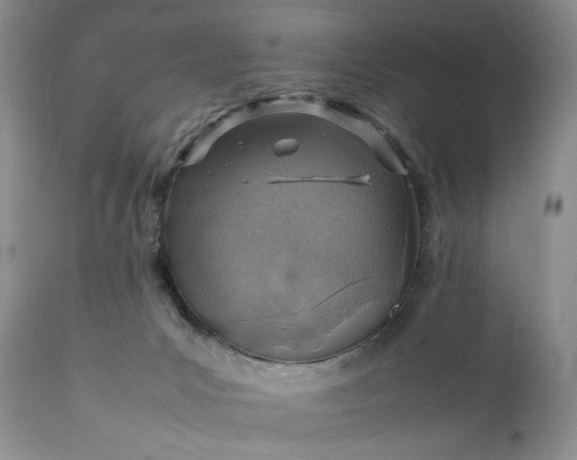 X0000111350031200907241209