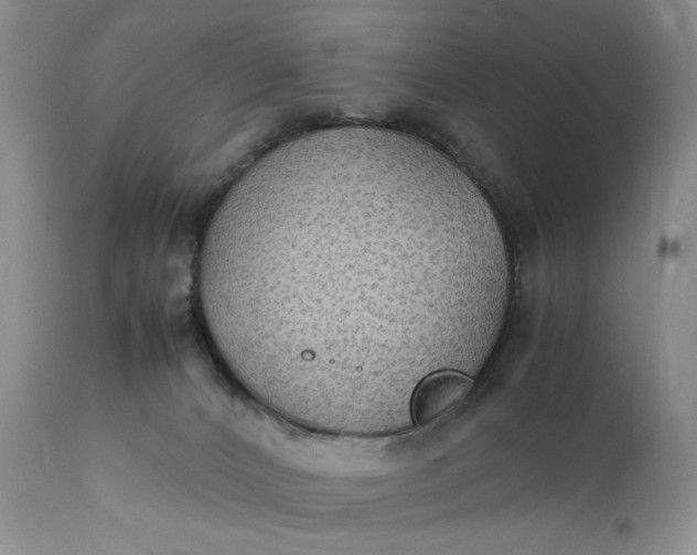 X0000111350032200907241209