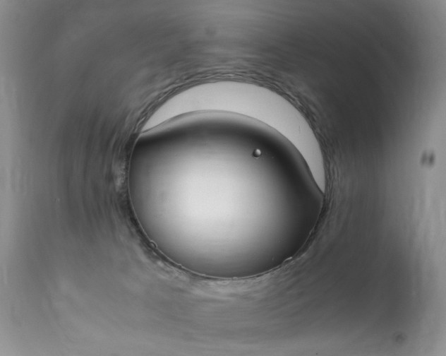 X0000111350033200907241209