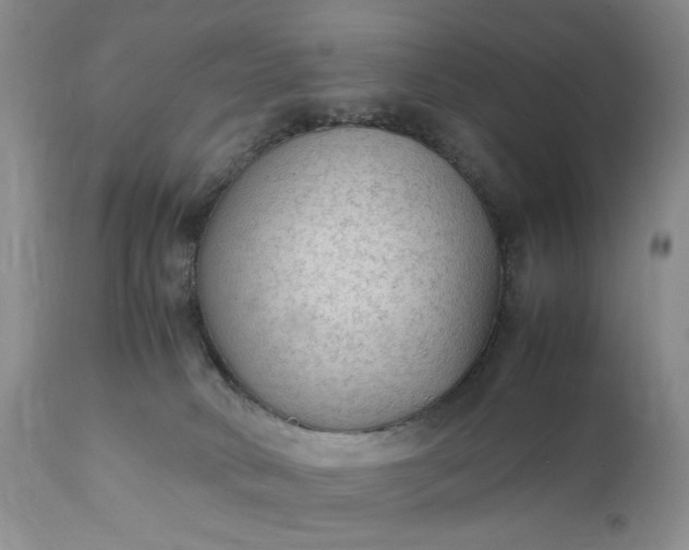 X0000111350034200907241209