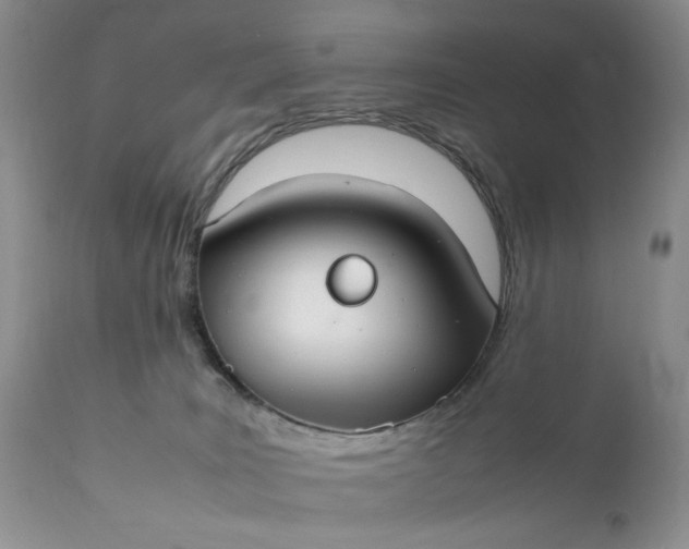 X0000111350035200907241209