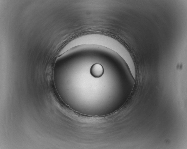 X0000111350036200907241209