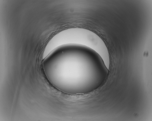 X0000111350037200907241209