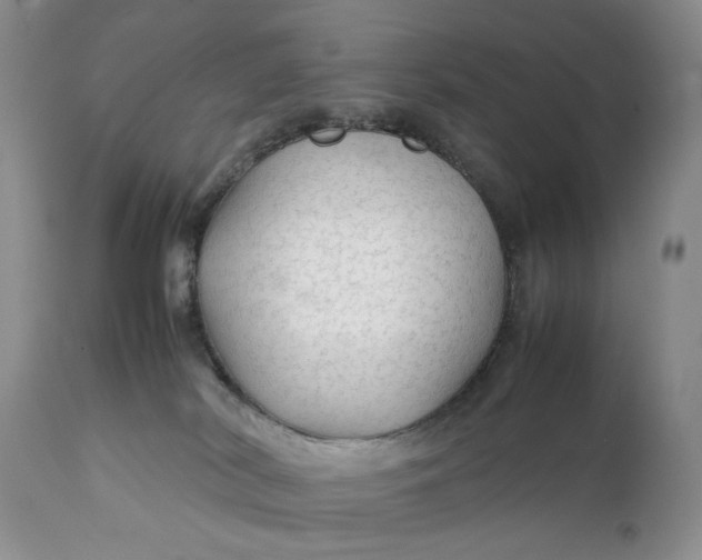 X0000111350038200907241209