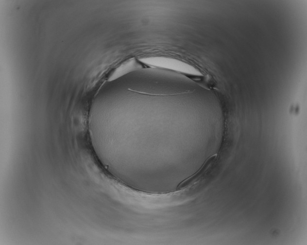 X0000111350039200907241209