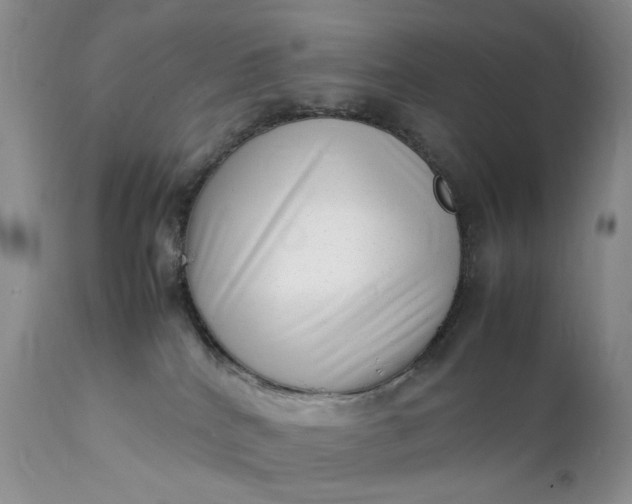 X0000111350040200907241209