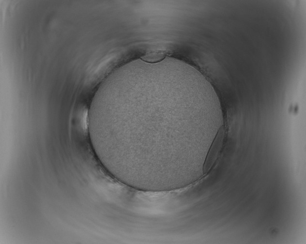 X0000111350041200907241209