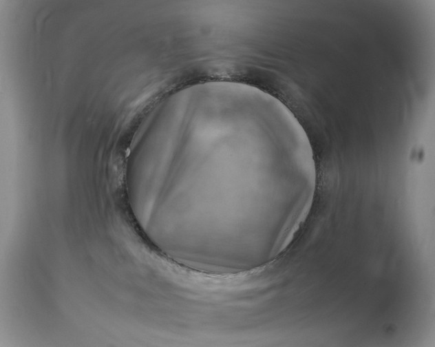 X0000111350043200907241209