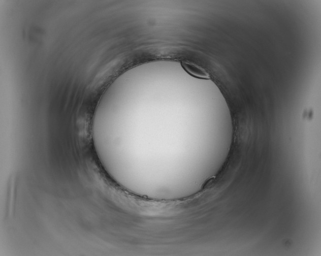 X0000111350044200907241209