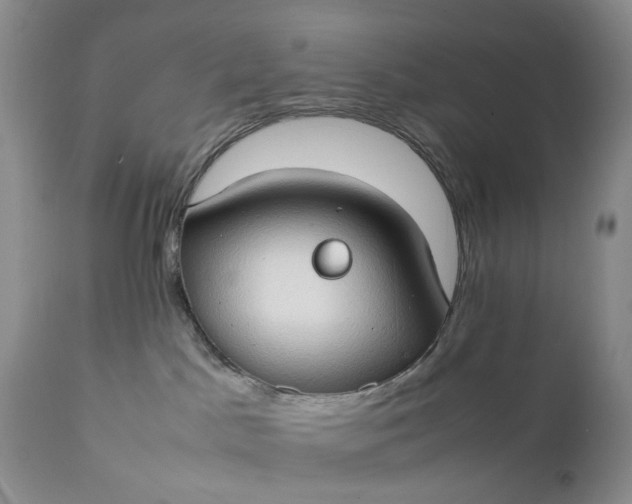 X0000111350045200907241209