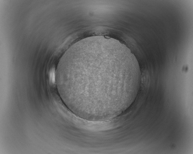 X0000111350046200907241209