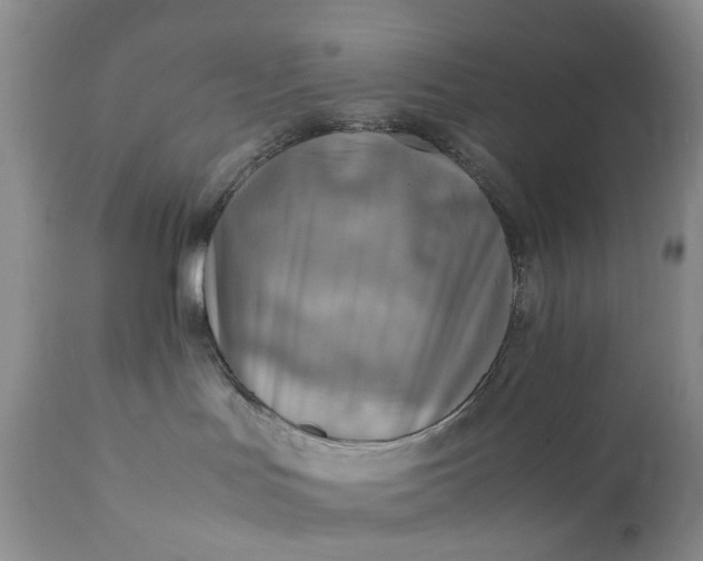 X0000111350047200907241209