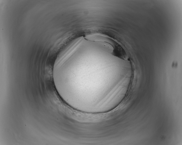 X0000111350048200907241209