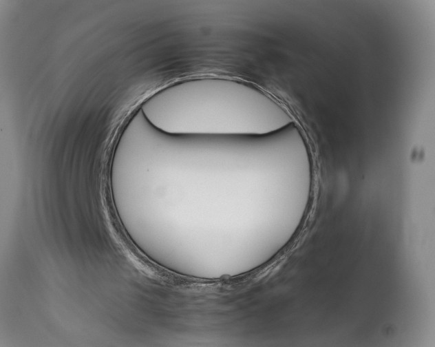 X0000111350049200907241208