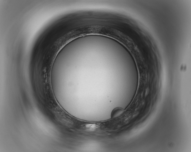 X0000111350050200907241208