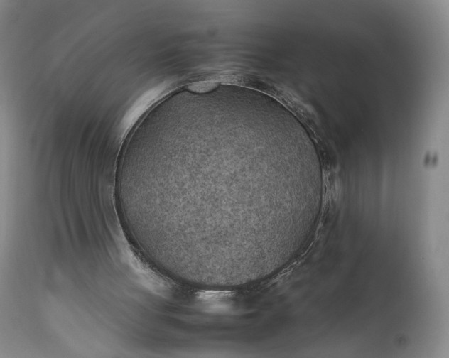 X0000111350051200907241208